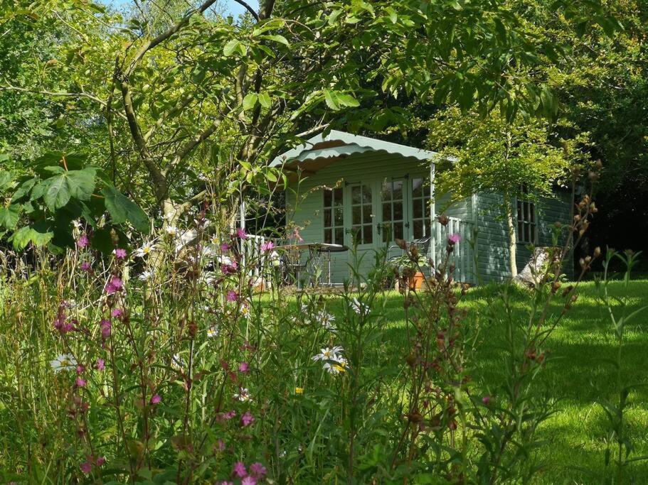 Red Squirrel Holiday Home In The Countryside, 10 Mins To Lligwy Beach Llandyfrydog Luaran gambar