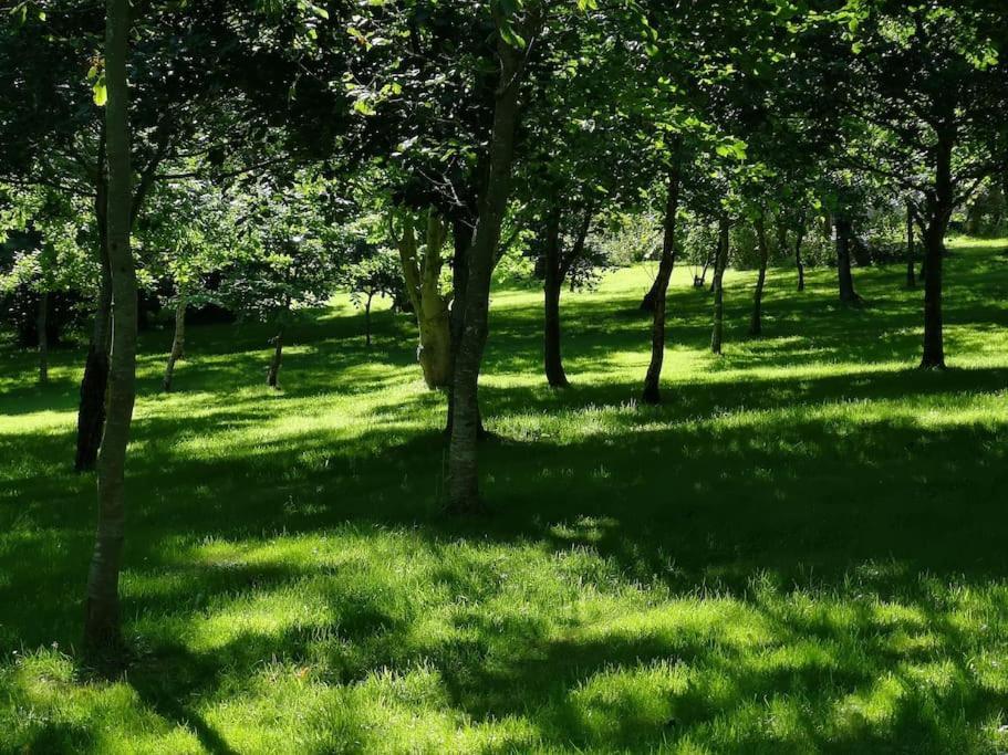 Red Squirrel Holiday Home In The Countryside, 10 Mins To Lligwy Beach Llandyfrydog Luaran gambar